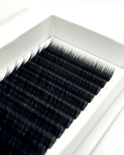 Antares | Black Camellia Lash Trays (0.07)