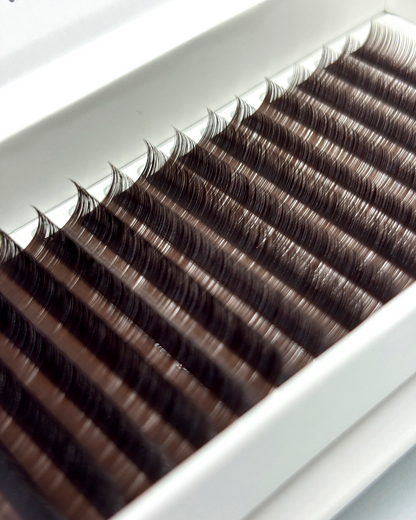 Moonlight | Brown Volume Lash Trays 0.03 / 0.05 / 0.07